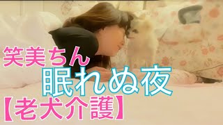 大場久美子【老犬介護No.64】今夜も眠れぬ笑美ちんの巻〜🐶