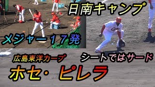 【メジャー通算１７発シートではサード】 ホセ・ピレラ選手（広島東洋カープ）シート\u0026打撃練習【２０２０ 春季キャンプ　日南】