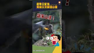 【生態】笑到並軌！遊隼交配後踹女友翻落山崖