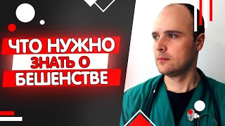 7 МИФОВ О БЕШЕНСТВЕ