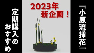 月刊『小原流挿花』2023年新企画！