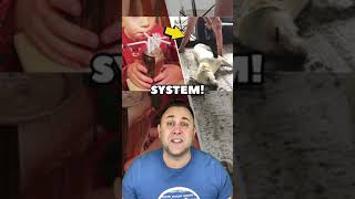 GENIUS Kids Who BEAT The SYSTEM!