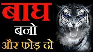 Tiger Attitude Motivation - Best Motivational Video in Hindi | Tiger Mentality Motivation in Hindi