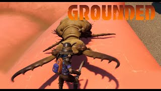 #12【Grounded】灼熱の大地にアリジゴクだああああ！！！