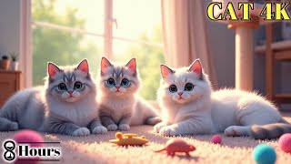 😸Music for Cats to Relieve Stress - Fast Positive Cat Therapy😸 Healing cat 8 hours relaxing