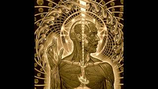 Tool - Reflection (Instrumental)