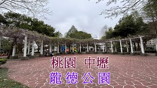 2023- 3 桃園 中壢 龍德公園 紫藤花