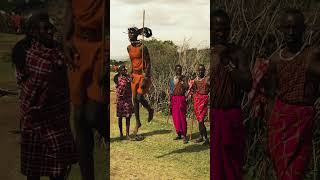 Maasai Warrior extreme high jumping dance contest