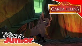 🎶 Scar - Compilație muzicală | Garda Felină | Disney Junior România