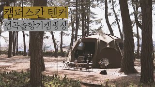 강릉 벚꽃구경 | 연곡솔향기캠핑장 | 캠퍼스칸 텐커 돔 쉘터