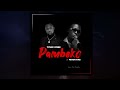 titus vybes pambeko ft peter rymz official audio