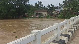 Flood in Roha Nagaon Assam