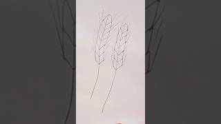 Wheat drawing easy #wheat drawing #shorts #trending #drawing videos
