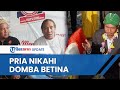 Heboh Video Pria di Gresik Nikahi Domba Betina, Libatkan Anggota DPRD, Begini Fakta Sebenarnya