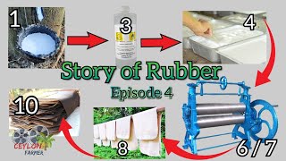 දුම්ගැසූ ශීට් රබර් නිශ්පාදනය | Traditional sheet rubber production technology