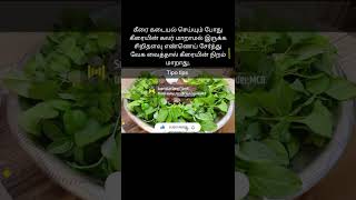 கீரை கடையல் செய்யும் போது கீரையின் கலர் மாறாமல் இருக்க tips#tipo tips#keerairecipe