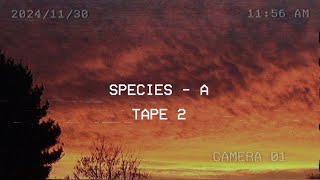 SPECIES A | TAPE 2 | BLEEDING SKY