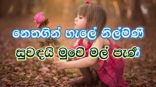 Suwandai Muwe Mal Pani karaoke (without voice) - සුවඳයි මුවේ මල් පැණි