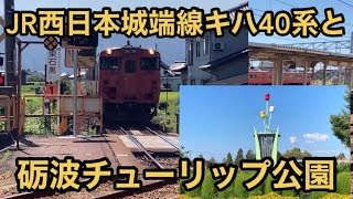 【JR城端線】JR西日本城端線キハ40系と砺波チューリップ公園 北陸 富山 高岡 氷見 Diesel Train Series 40 \u0026 Tonami Tulips Park Toyama Japan