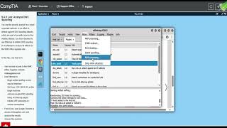 Testout Network + 9.4.9 Lab Analyze DNS Spoofing