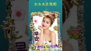 好友友👫早安美好💗 歌曲【相思樹】🎵