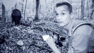 Wild Tapir Caught On Camera | The Dark: Nature's Nighttime World | BBC Earth