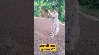 കറിവേപ്പില മരമായി വളരാൻ 💯😱/poppy happy vlogs