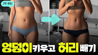 엉덩이지키고 복부 체지방 쏙빼는 2주 루틴 (식단표+운동제공)