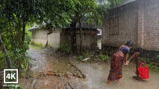 Walking in the very heavy rain | Village rain video - Rainy Day | Village Life