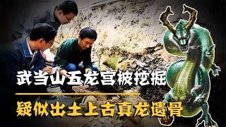 武當山五龍宮挖掘驚現上古真龍遺骨，龍的秘密究竟在哪里？ #法拉歷史 #法拉 #歷史 #古墓 #神仙