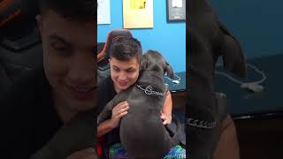 PAULINHO MOSTRANDO SEU CACHORRO EM LIVE (PAULINHO O LOKO) (MODDER)  (VIDEO COMPLETO NA BIO)