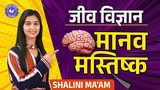 मानव मस्तिष्क (Human Brain) | Biology Class 11th/12th by Shalini Maam | NCERT Hindi Medium