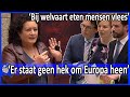 Caroline van der Plas 'Er staat geen hek om Europa heen' - Kalfsvlees naar China Debat Tweede Kamer