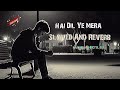 Hai Dil Ye Mera || Slowed And Reverb || #slowed #reverb #music #lyrics @alone_official_x4