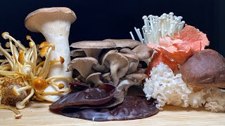 Japanese Mushrooms: The Big 7 (Shiitake, Maitake, Eringi, Enoki, Nameko, Bunashimeji)