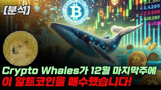 [분석] Crypto Whales는 2024년 12월 넷째 주에 이 알트코인을 매수했습니다!