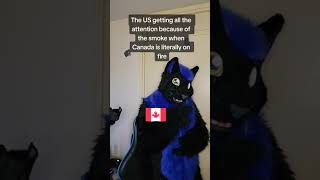 Canadian forest fires wild rn #furry #fursuit #furries