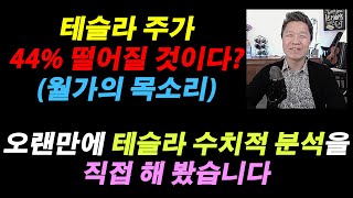 (월가의 목소리) 테슬라 주가 44% 떨어질 것이다? / 오랜만에 테슬라 수치적 분석을 직접 해 봤습니다 #테슬라주식전망 #테슬라주식분석