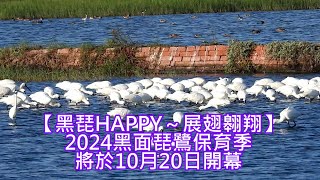 【黑琵HAPPY～展翅翱翔】2024黑面琵鷺保育季將於10月20日開幕