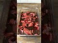 Homemade beef jerky