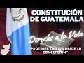 Análisis Artículos:  3º Derecho a la Vida 4º. Libertad e Igualdad 5º. Libertad de Acción