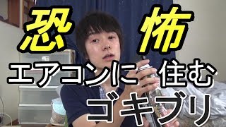 エアコンから次々と出てくるゴキブリの衝撃的な侵入経路・・・