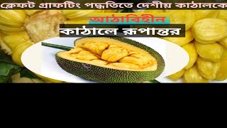 ক্লেফট গ্রাফটিং পদ্ধতিতে দেশীয় জাতের কাঠালকে আঠাবিহীন কাঠালে রূপান্তর।