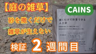 【庭の雑草対策】撒くだけで防草できる人工砂が本当に防草出来るか検証（検証2週間目）