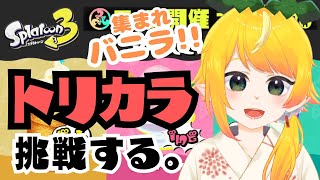 【スプラトゥーン3フェス】9時からトリカラやる！！！【バニラ】