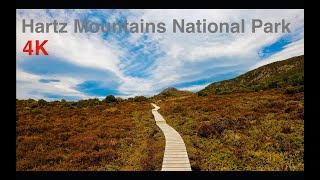 Hartz Mountains National Park 4K | Tasmania - Walking Tour