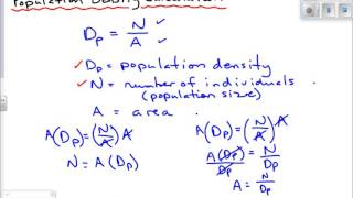 Population Density Calculation