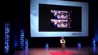 Re-educate the Immune System: Gerald T. Nepom at TEDxRainier