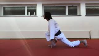 Ushiro Ukemi + stretching à la Nobuyoshi Tamura Sensei.