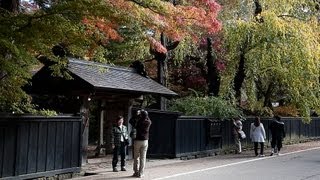 Amazing autumn leaves in Samurai district ［角館の武家屋敷通りの紅葉／秋田］